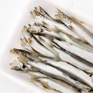 柳葉魚50隻(有蛋)