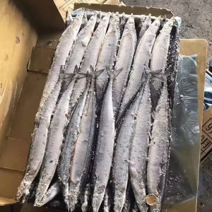 秋刀魚(100隻x1箱)