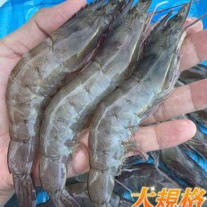 冷凍白蝦 (25/30)
