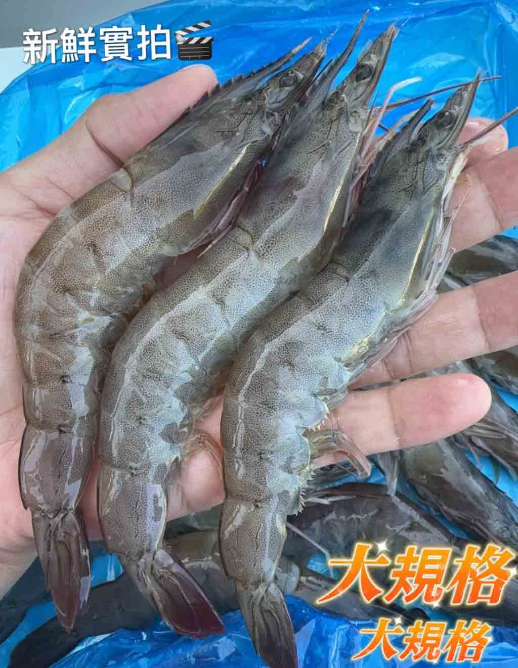 冷凍白蝦 (25/30)